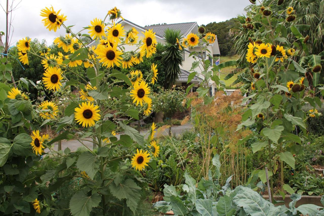 U Beauty - B & B Whangarei Esterno foto